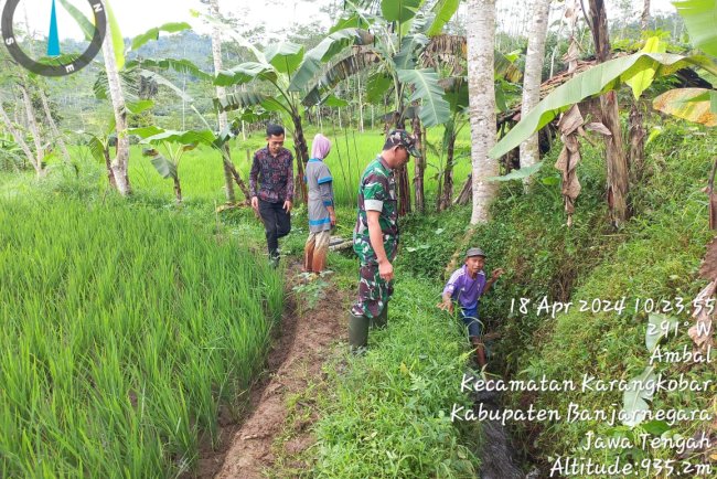 Swasembada Pangan Babinsa Bersama Penyuluh Pertanian Lapangan dan Gapoktan Cek Saluran Irigasi Pertanian