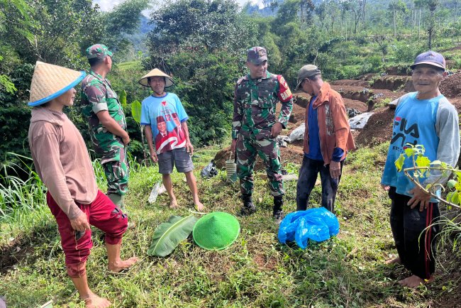 Babinsa Motivasi Petani Untuk Meningkatkan Ketahanan Pangan