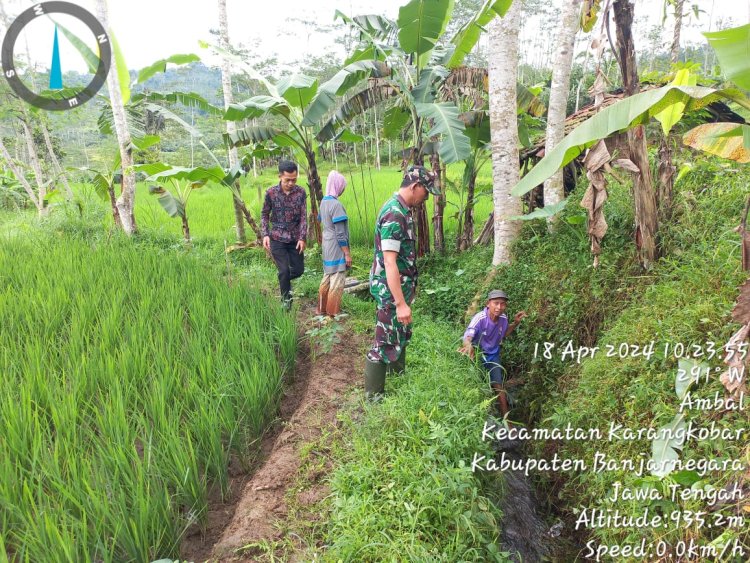 Swasembada Pangan Babinsa Bersama Penyuluh Pertanian Lapangan dan Gapoktan Cek Saluran Irigasi Pertanian
