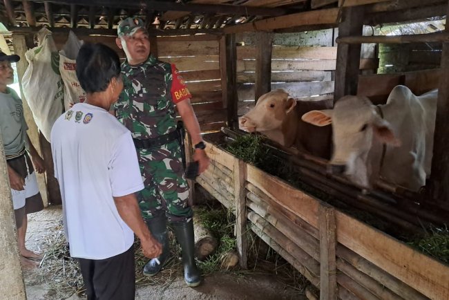 KOMSOS DENGAN PETERNAK SAPI, BABINSA KORAMIL 01/BANJARNEGARA BERIMOTIVASI
