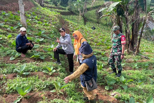 Babinsa Dampingi PPL  Monitoring dan Evaluasi Monev Kelompok Petani Tembakau