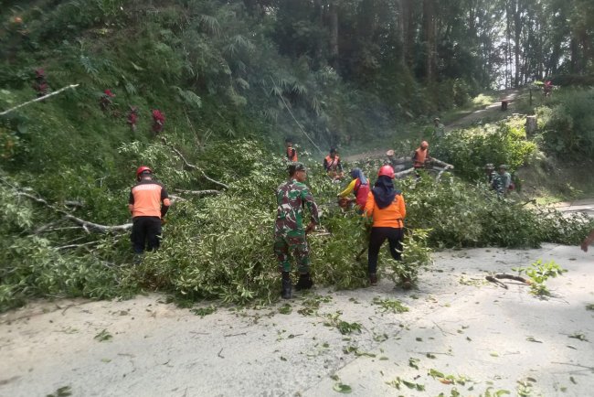 Babinsa Koramil 13 Banjarmangu,Turut Berperan dalam Pengamanan Penebangan Pohon oleh Perhutani