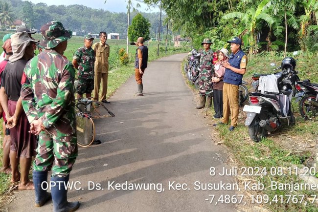 ANTISIPASI HAMA, BABINSA KORAMIL 09/SUSUKAN  BERSAMA BPP, PETANI LAKUKAN PENYEMPROTAN PADI