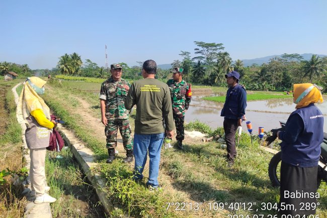 Danramil 03 Wanadadi Dampingi Pembuatan Rumah Pompa untuk Tingkatkan Ketahanan Pangan