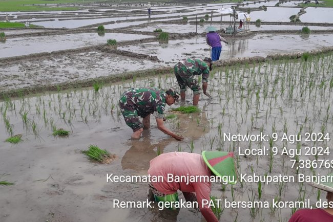 Babinsa Berperan Aktif dalam Meningkatkan Ketahanan Pangan 