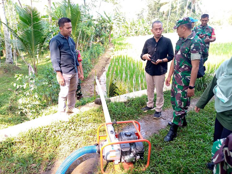 Danramil 14 Madukara Dampingi Petani Pompanisasi untuk Wujudkan Ketahanan Pangan