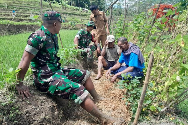 Komsos Dengan Petani Babinsa Berikan Motivasi Tingkatkan Produksi Serta Kualitas Padi