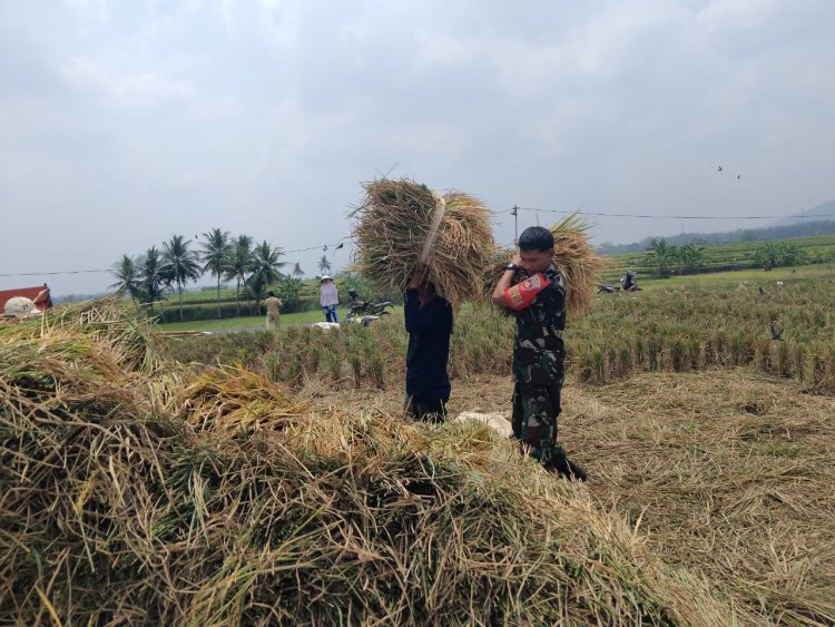 Babinsa Membuat Warga Selalu Semangat Dalam Bidang Pertanian