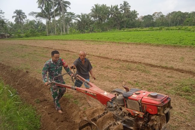Babinsa Turun ke Sawah Bantu Petani Pengolahan Lahan