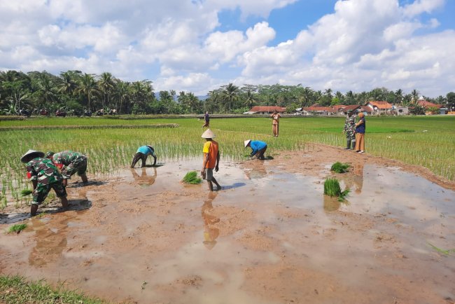 Percepat Perluasan Areal Tanam di Desa Gumingsir