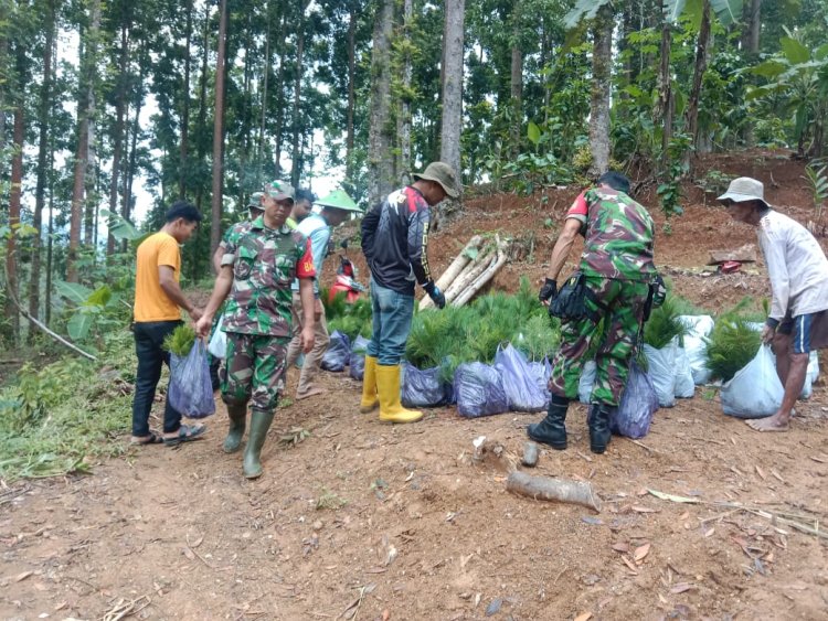 Danramil Banjarnegara Tanam 2.300 Pohon di Lebakwangi