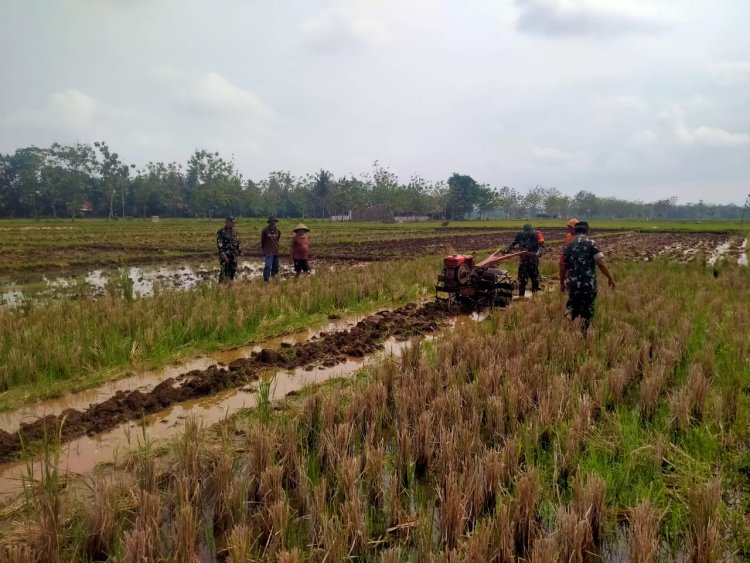 Koramil Klampok Dampingi Petani Olah Lahan untuk Tanam Padi