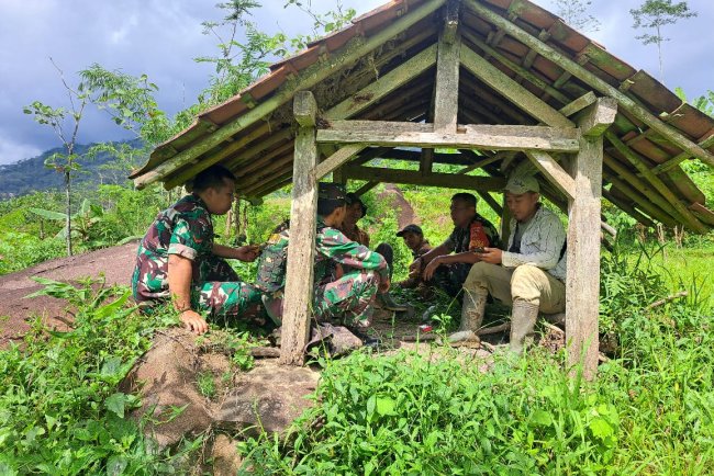 Komsos Dengan Petani Babinsa Berikan Motivasi Tingkatkan Produksi Serta Kualitas Padi