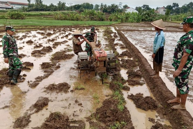 Danramil 02 Klampok Dukung Ketahanan Pangan Lewat Pengolahan Lahan Bersama Petani