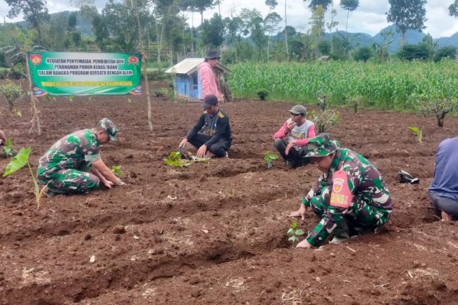 Danramil Kalibening Dukung Petani dengan Program Penghijauan Kopi Arabika