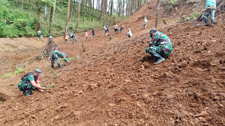 Danramil 17 Wanayasa Bersama Elemen Terkait dan Warga Melaksanakan Reboisasi