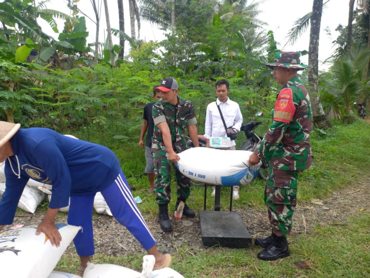 Danramil 12 Sigaluh Bersama Anggota Dan Bulog Kancab Banyumas Melaksanakan Sergab