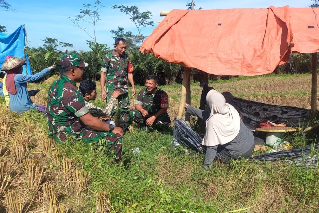 Di Tengah Sawah Babinsa Koramil 04 Karangkobar Jalin Komsos Dengan Petani