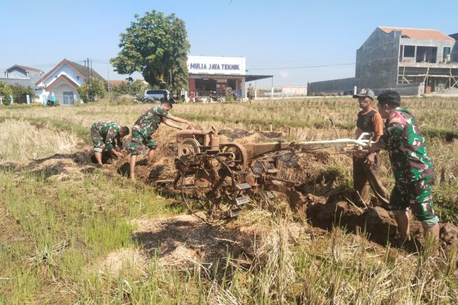 Babinsa Bantu Petani Garap Lahan Sawah