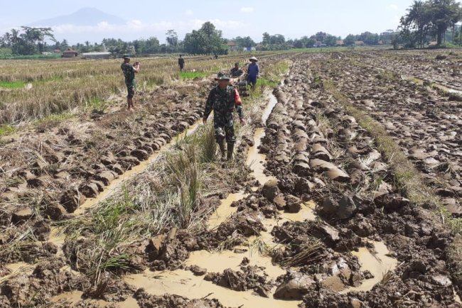 Babinsa Bantu Petani Olah Lahan untuk Dukung Swasembada Pangan
