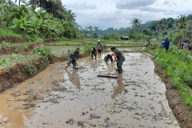 Danramil dan Babinsa Terjun Langsung Membantu Petani Pengolahan lahan