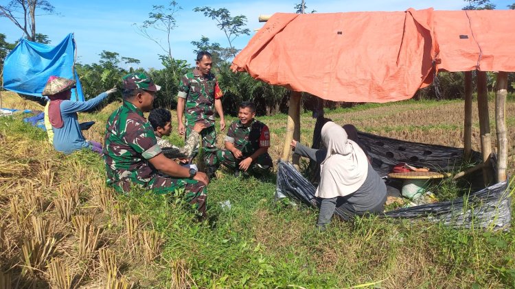 Di Tengah Sawah Babinsa Koramil 04 Karangkobar Jalin Komsos Dengan Petani