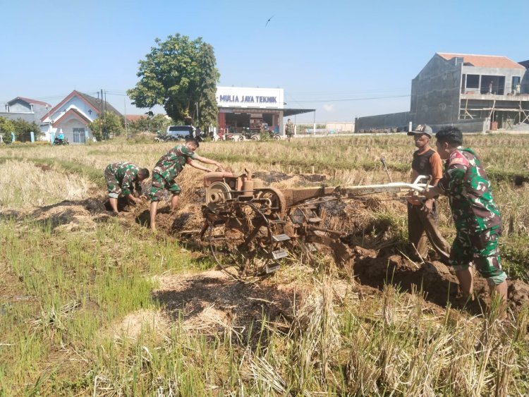 Babinsa Bantu Petani Garap Lahan Sawah