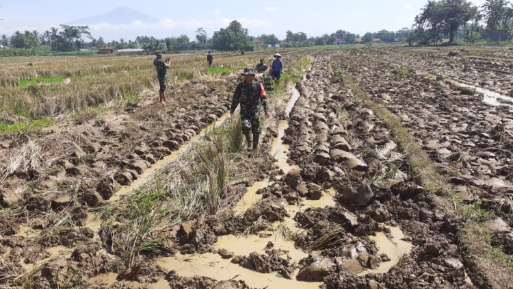 Babinsa Bantu Petani Olah Lahan untuk Dukung Swasembada Pangan
