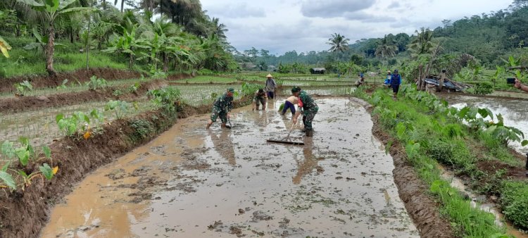 Danramil dan Babinsa Terjun Langsung Membantu Petani Pengolahan lahan
