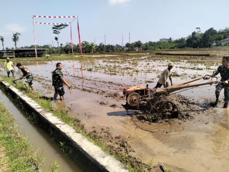 Babinsa Terjun langsung Bantu Petani Saat olah lahan