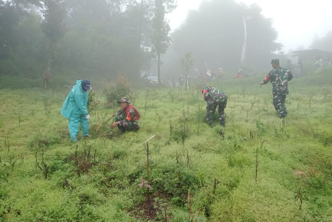 Jaga Sumber Mata Air Koramil 05 Batur Tanam Pohon Bersama Masyarakat