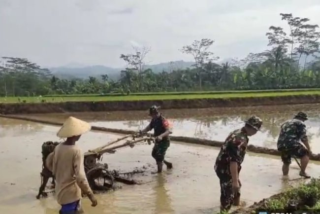 TNI Bantu Olah Lahan Petani Medayu Rasakan Kehangatan Kemanunggalan