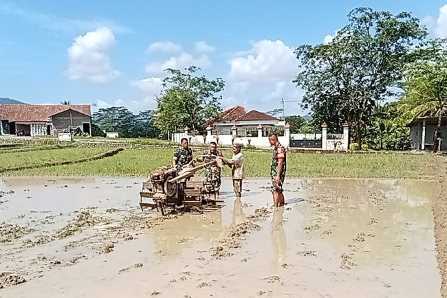 Babinsa Koramil 13  Banjarmangu Membantu Petani Mengolah Lahan Sawah