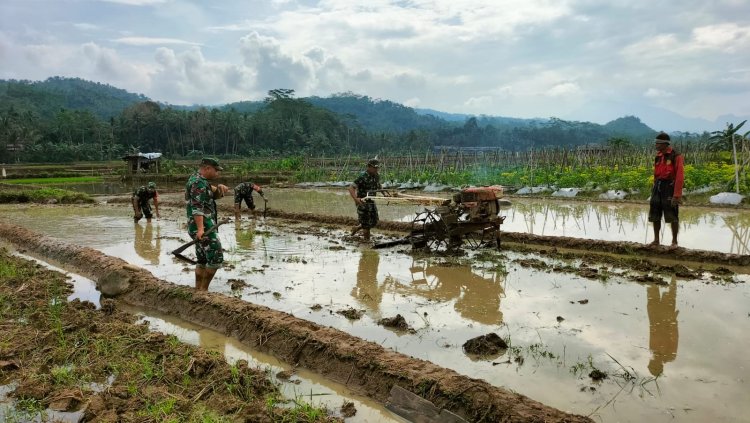 Percepat Masa Tanam Koramil 11 Punggelan Bantu Petani membajak Sawah