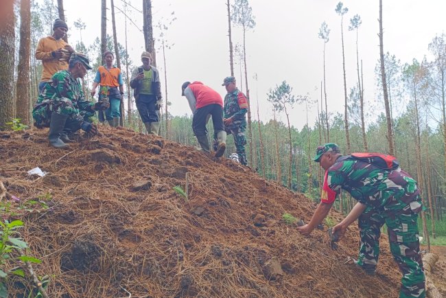 Jaga Kelestarian Hutan Penghijauan Koramil 17 Wanayasa Tanam pohon