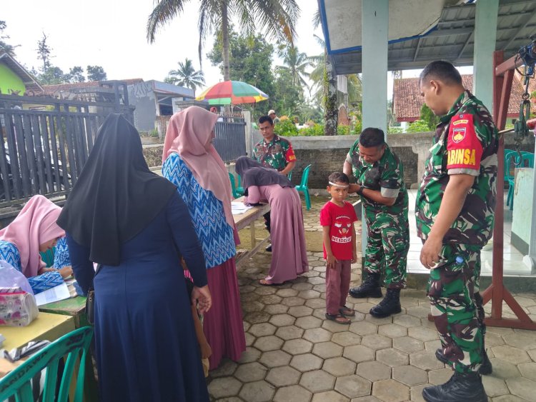 Babinsa pendampingan Posyandu