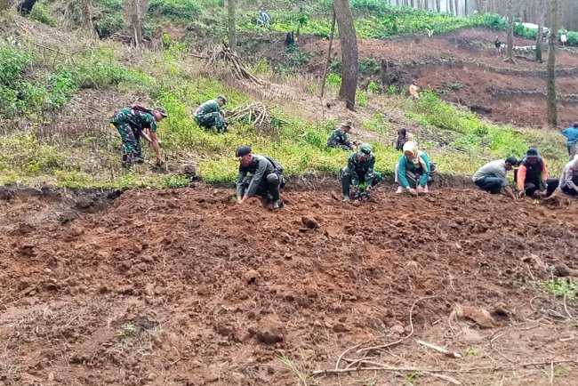 Anggota Koramil 17 Wanayasa ikut peduli hutan Tanam pohon bersama komponen masyarakat