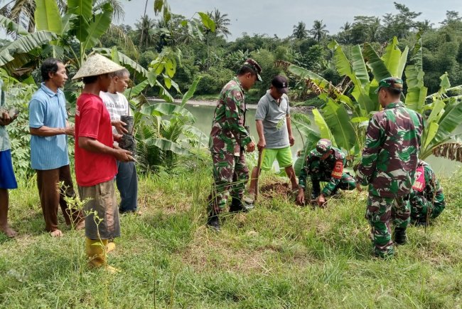 Babinsa Koramil Klampok Pendamping Penanaman Pohon