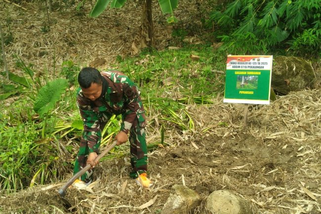 Satgas TMMD Reguler ke-125 Kodim 0710/Pekalongan Mulai Buat Lubang Tanam untuk Penghijauan di Desa Windurojo