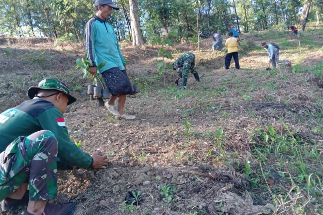 Semangat Menanam, TNI dan Warga Kompak Laksanakan Penghijauan di Desa Windurojo