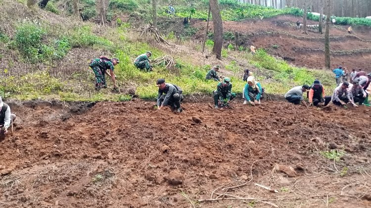 Anggota Koramil 17 Wanayasa ikut peduli hutan Tanam pohon bersama komponen masyarakat
