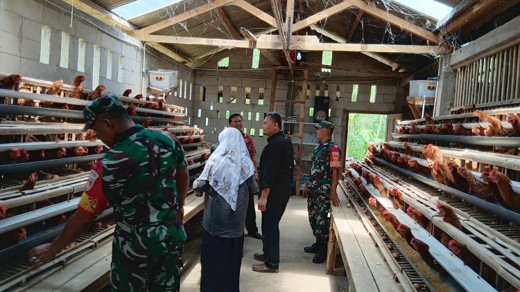 Babinsa Komsos Dengan Peternak Ayam Petelur Untuk Menjaga Kebersihan Kandang Dan Lingkungan