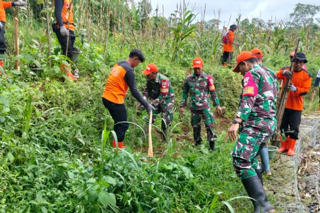Koramil 16 Pejawaran Relawan Laksanakan Penanaman Pohon