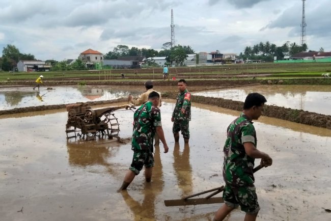 Babinsa Koramil 07/Mandiraja Dampingi Petani Olah Lahan Demi Swasembada Pangan