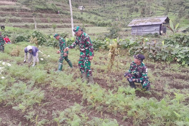 Anggota Koramil 17/Wanayasa Tanam bibit pohon Bersama komponen masyarakat