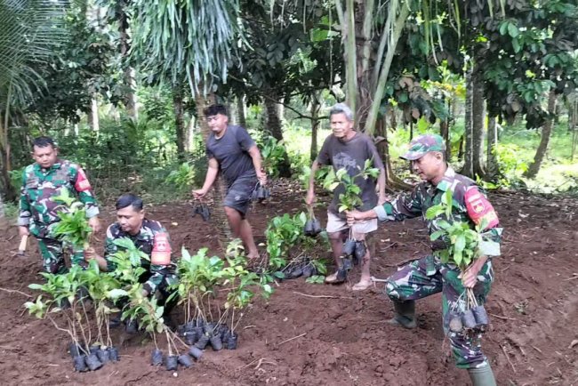 Koramil 11/Punggelan bantu Petani tanam kopi