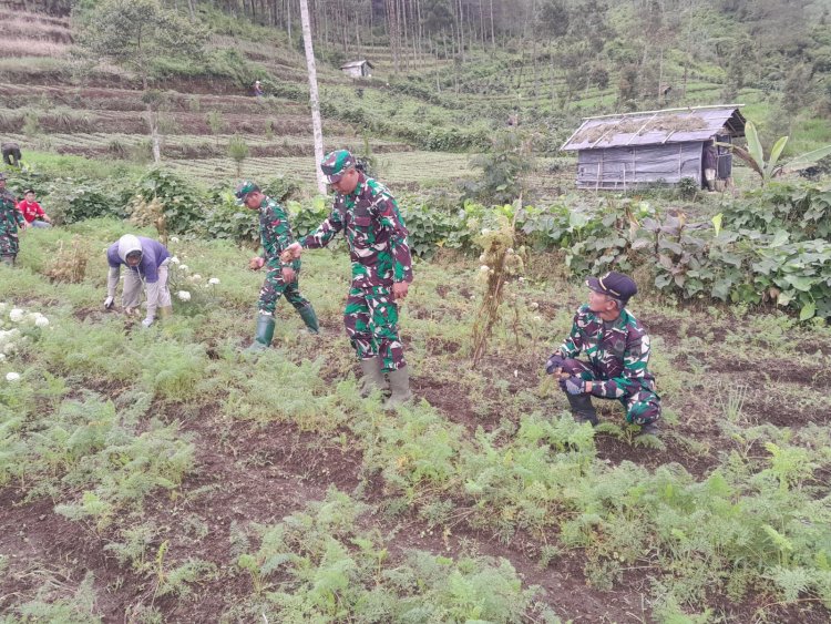 Anggota Koramil 17/Wanayasa Tanam bibit pohon Bersama komponen masyarakat