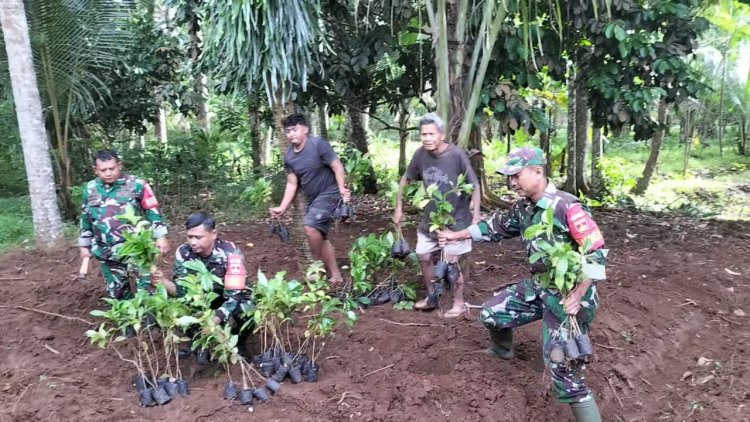 Koramil 11/Punggelan bantu Petani tanam kopi