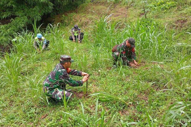 Danramil Beserta Forkompincam, Melaksanakan Penghijauan Penanaman Pohon Pinus