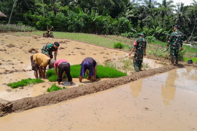 Dukung Ketahanan Pangan Danramil Bersama Babinsa Bantu Warga Ndaut